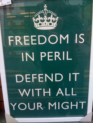 freedom freedom
