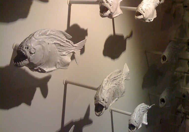 pirhanas pirhanas