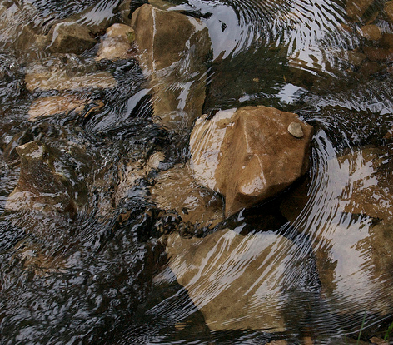 201011251225.jpg
