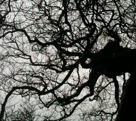 NewImage